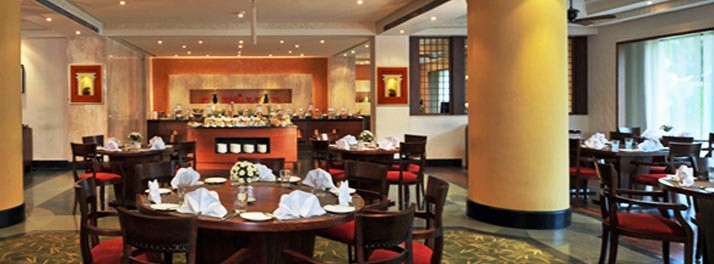 230/My Fortune - Chennai 05.jpg